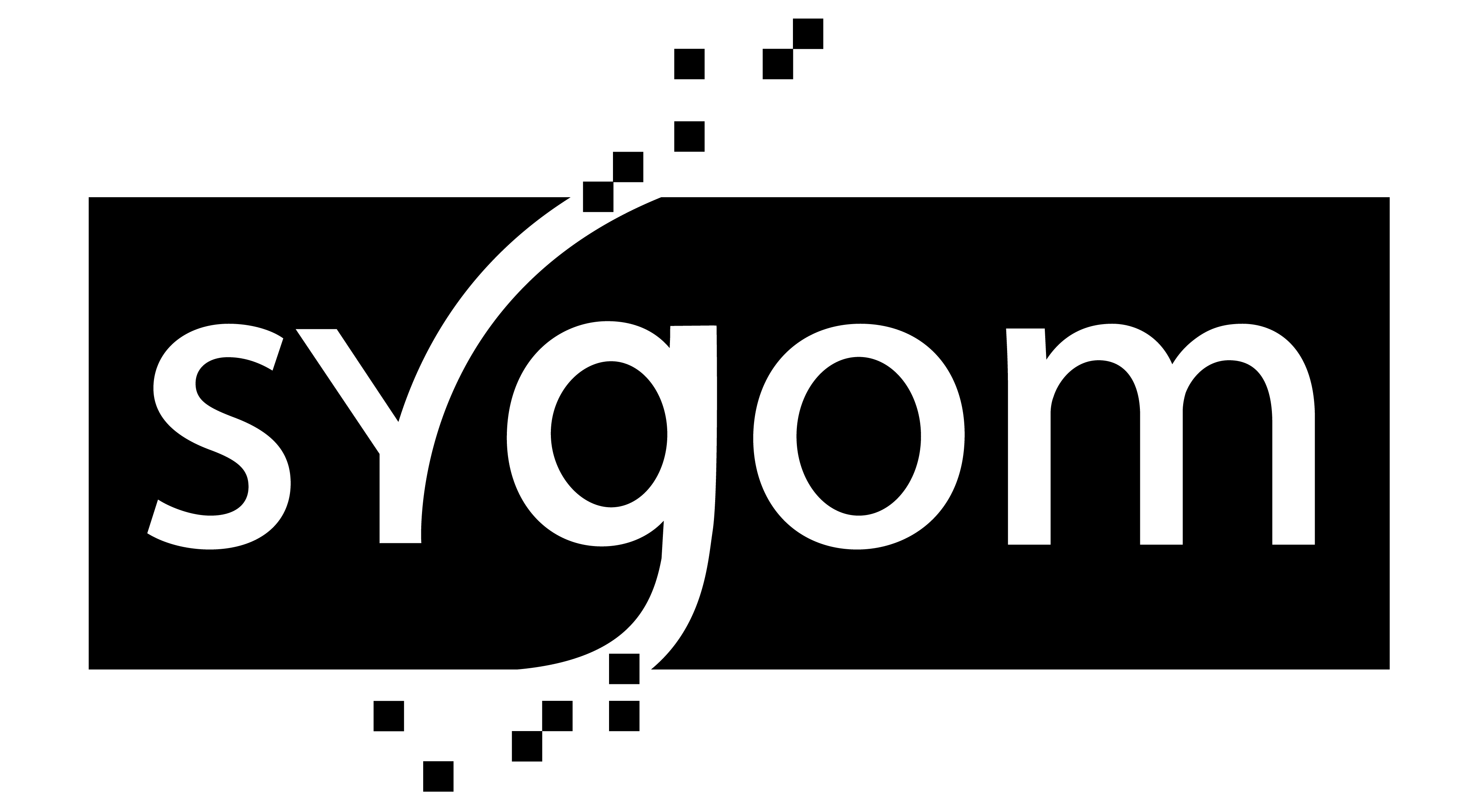 Client 13